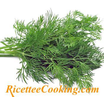 Il finocchio selvatico